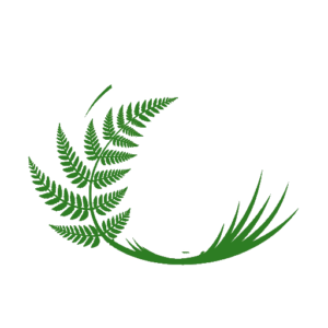 kiwi icon white bird green fern
