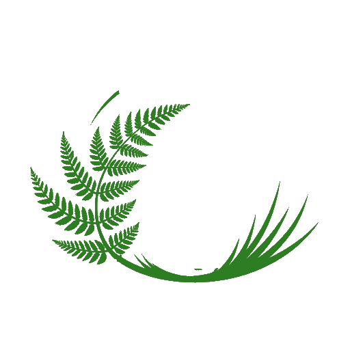 kiwi icon white bird green fern
